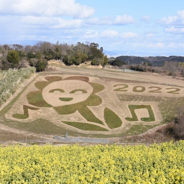 花さじきのアースワーク画像