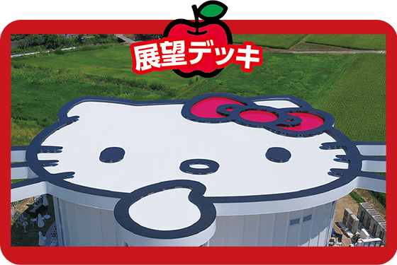 展望デッキイメージ
