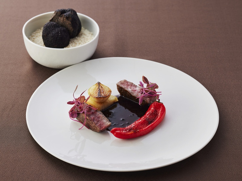 plate_dish_800x600_v2