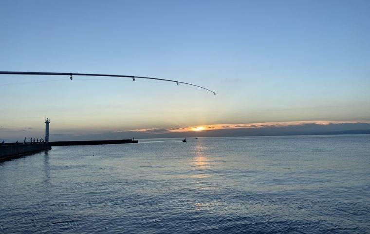 釣り