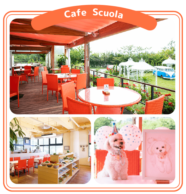 カフェスコーラ
