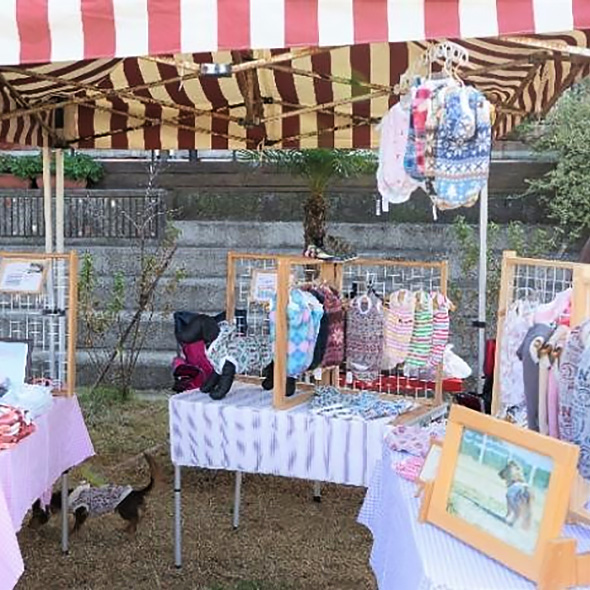 のじまスコーラ ドッグフェス