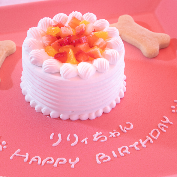 のじまスコーラ犬のケーキ