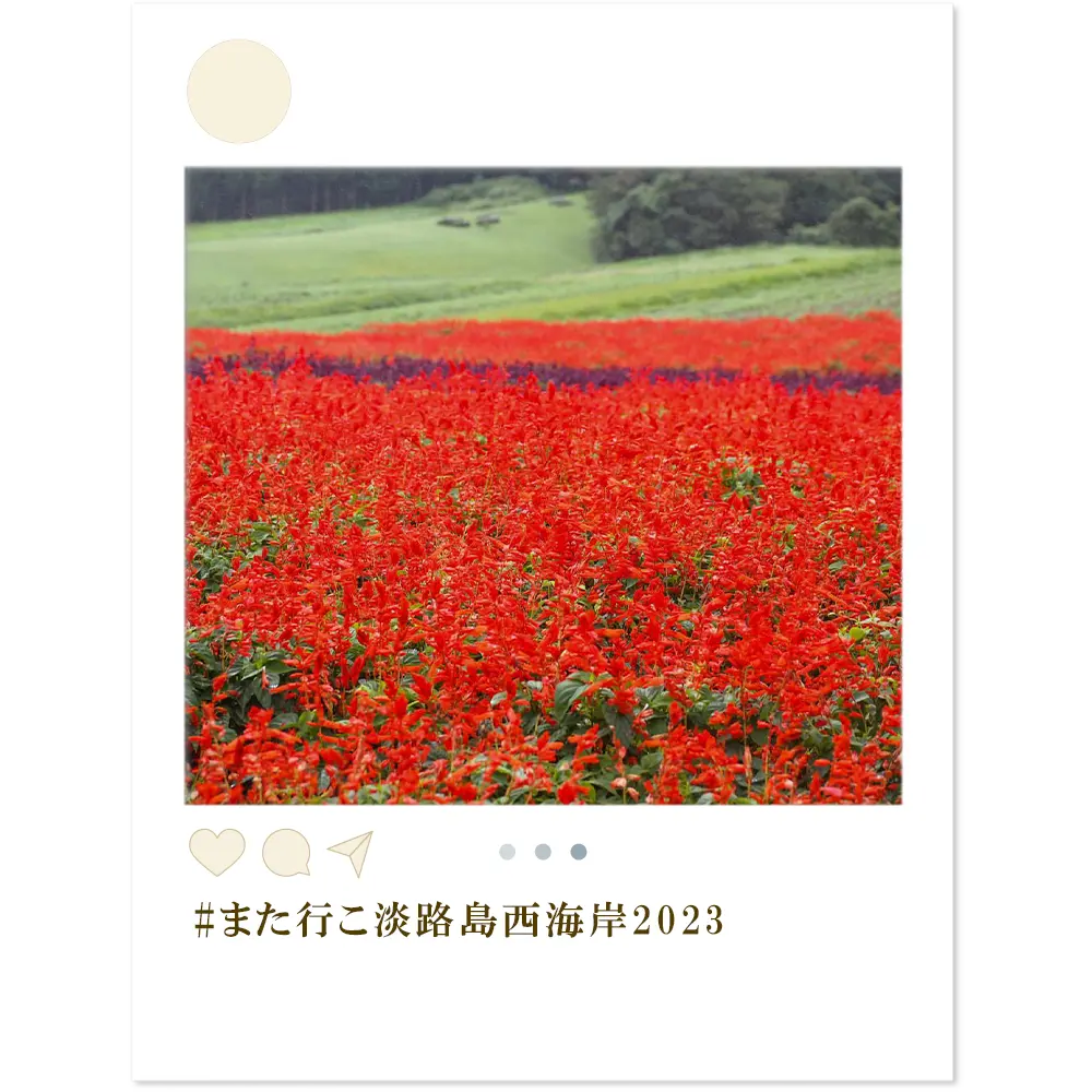 feed06