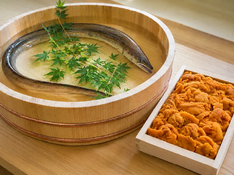 hamo_uni-1